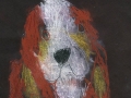 Braden-4
